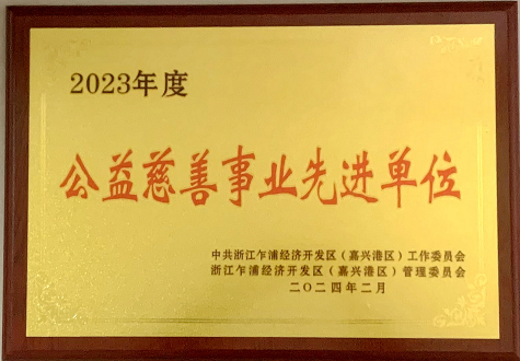 公益慈善事業(yè)先進單位